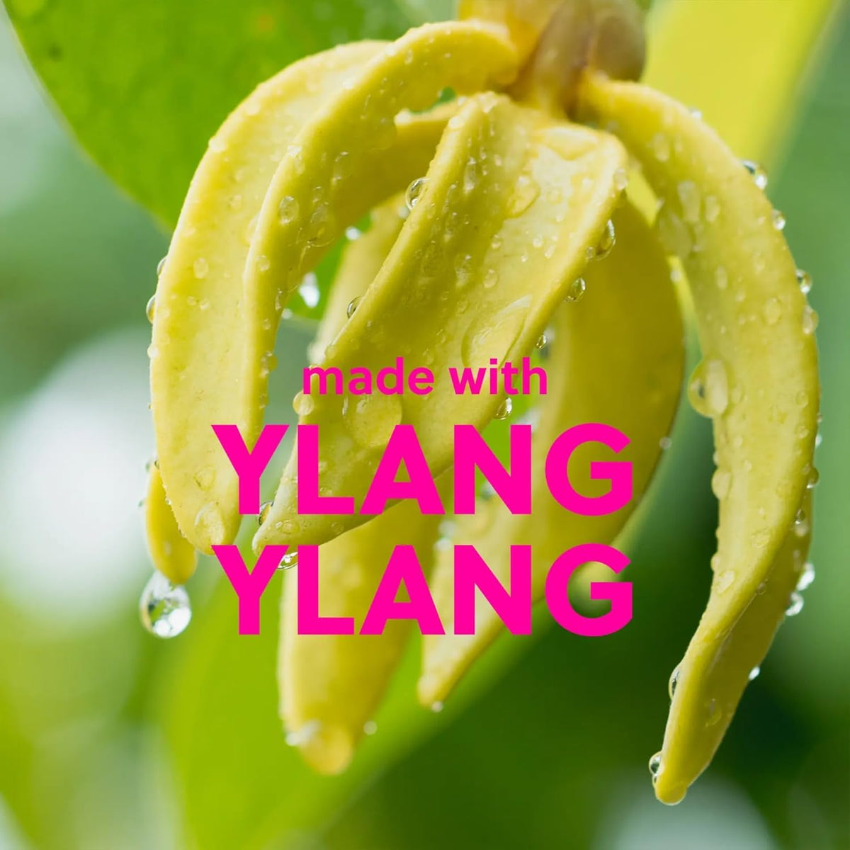 Tree Hut Body Scrub, Vitamin C, 18 Oz